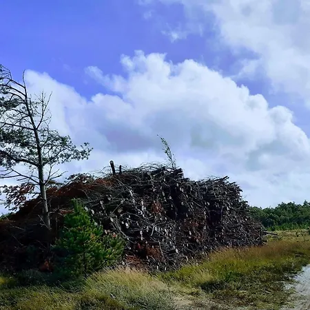 Casa de Férias 8 Person In Oksbol-by Traum